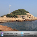 5000W Mini off Grid Wind Generator/Wind Turbine/Wind Power Energy